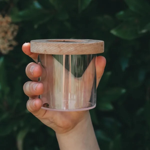 Magnifying Seek Insect Jar
