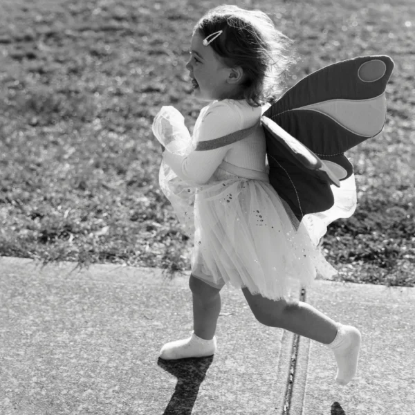 Dress Up Wings (Blue Spruce) by Fabelab