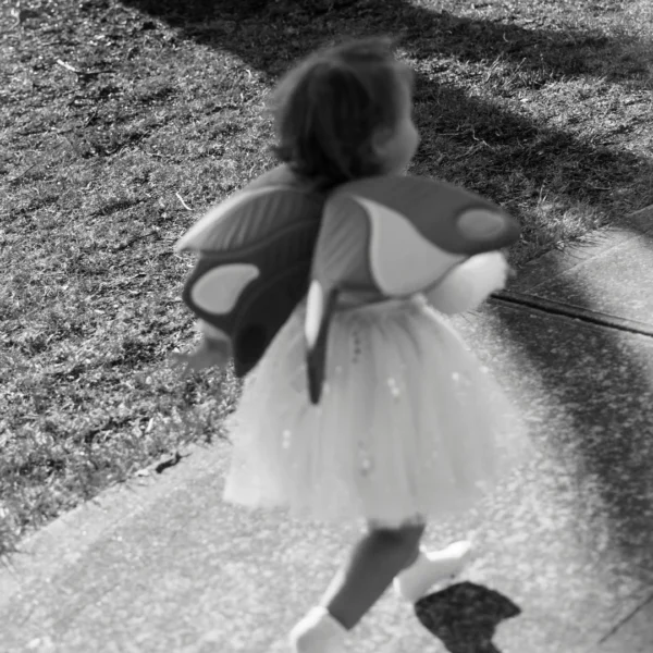 butterfly wings from Fabelab