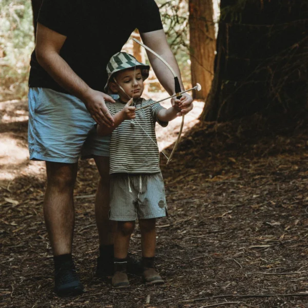 wooden and educational toys