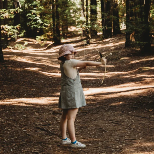 Wooden Bow & Arrow