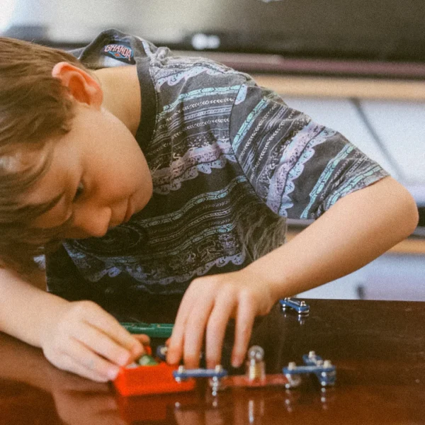 Electrical Clip Circuit Starter Lab Set
