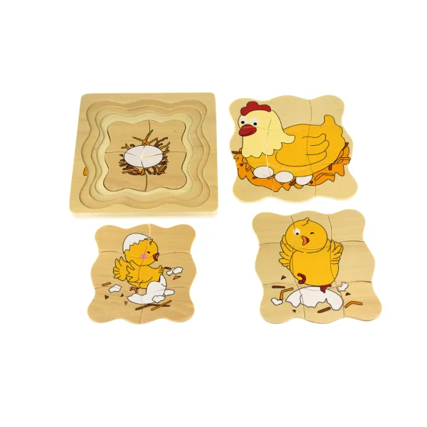 Chicken Lifecycle (4 Layers Puzzle) by Kaper Kidz - Image 2