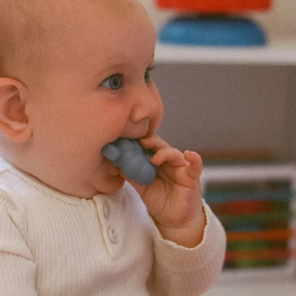 Fruit Fill n' Spill Toy Set