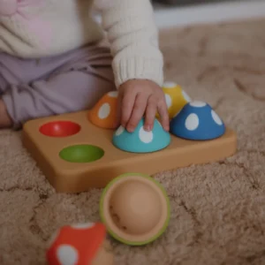 Mischievous Matching Mushrooms by Sassy Baby