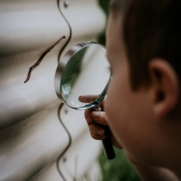 Sherlock Holmes-style magnifying glass from Heebie Jeebies