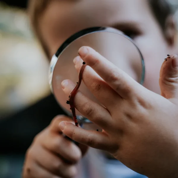 Sherlock Glass Magnifying Glass by Heebie Jeebies
