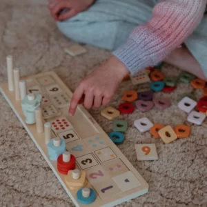 PolarB Count & Match by VIGA Toys