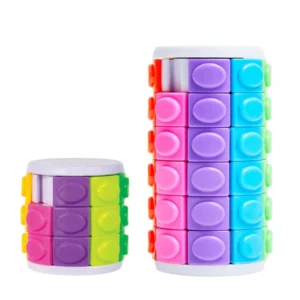 Twist & Slide Brain Puzzle