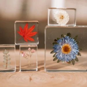 Flora Specimen Set by Our Earth Life