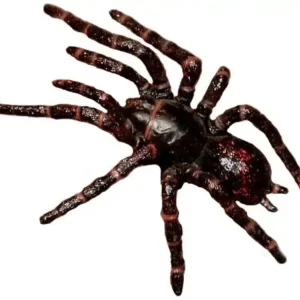 Funnel Web Replica by Science & Nature