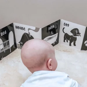 High Contract Black & White (Welcome to the World Book)