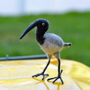 Bin Chicken (Australian White Ibis) by Tara Treasures