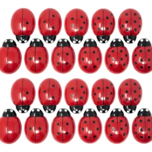 Ladybug Counting Stones