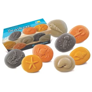 Let's Investigate Tactile Stones (Sea Shore) by Yellow Door
