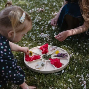 Wooden Colour Wheel Tray by The Creative School Supply Company