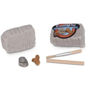Fossil Dig | Mini Paleo Kit by Heebie Jeebies