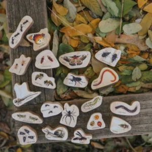 Discovering Minibeasts by Freckled Frog