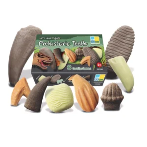 Sensory Play Stones (Prehistoric Teeth) by Yellow Door