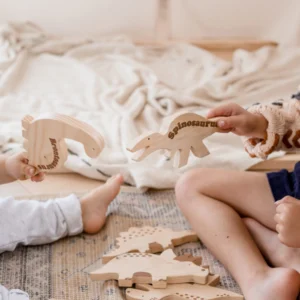 Dinosaur Play Set (Set of 5) by QToys