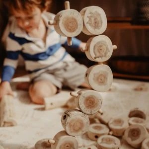 Wooden Tree Construction Set (Set of 40) by QToys