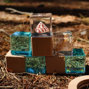 Shell Stackables Set by Our Earth Life