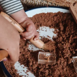 Wooden Discovery Brush by Our Earth Life