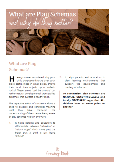 Play Schemas